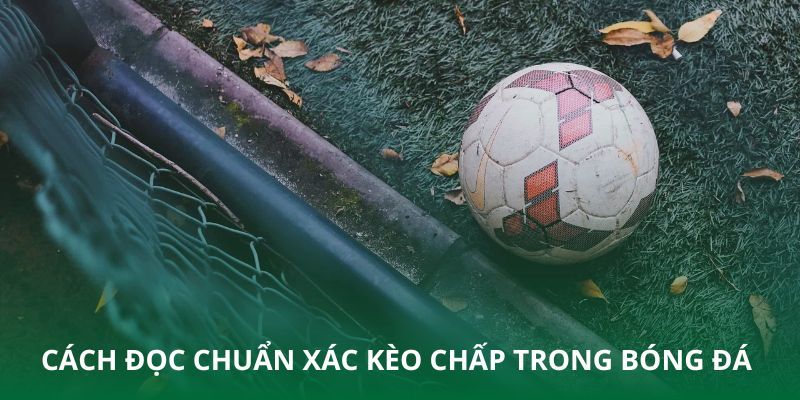 Cách đọc cược chấp chi tiết nhất 